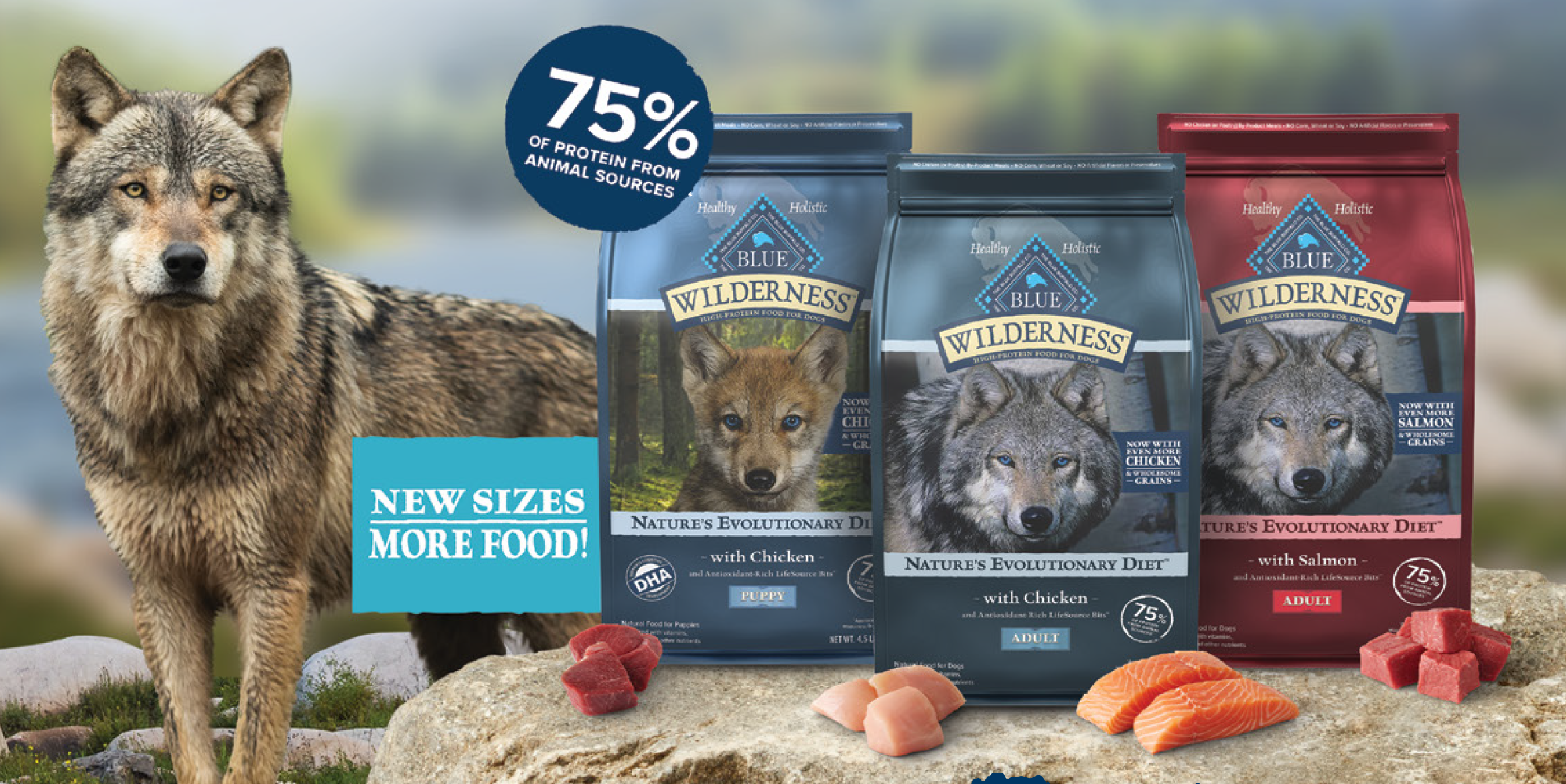Wilderness dog deals food coupon